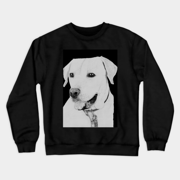 Golden Retriever in Black Crewneck Sweatshirt by DavidASmith